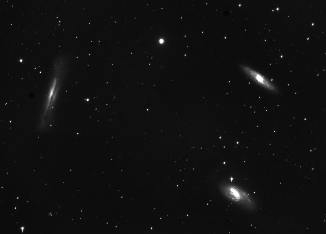 Leo Triplet (or Leo Trio) - M65, M66 and NGC3528 (north is to upper left, 120 min. exposure) Credit: Rex Parker