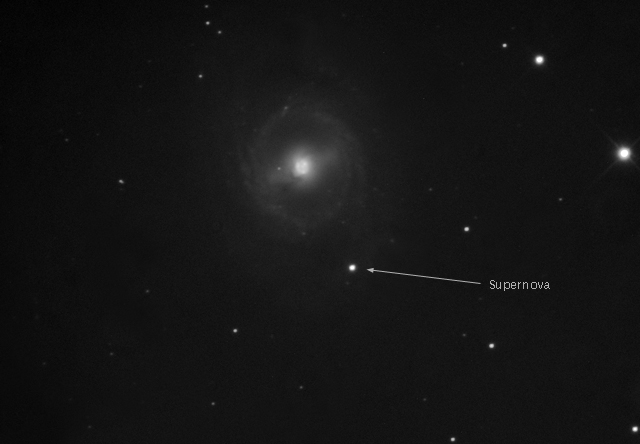 M95 and Supernova 2012aw