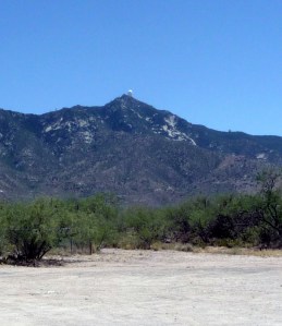 From the base of Kitt Peak, you can see the domes of the various telescopes along the ridgeline.