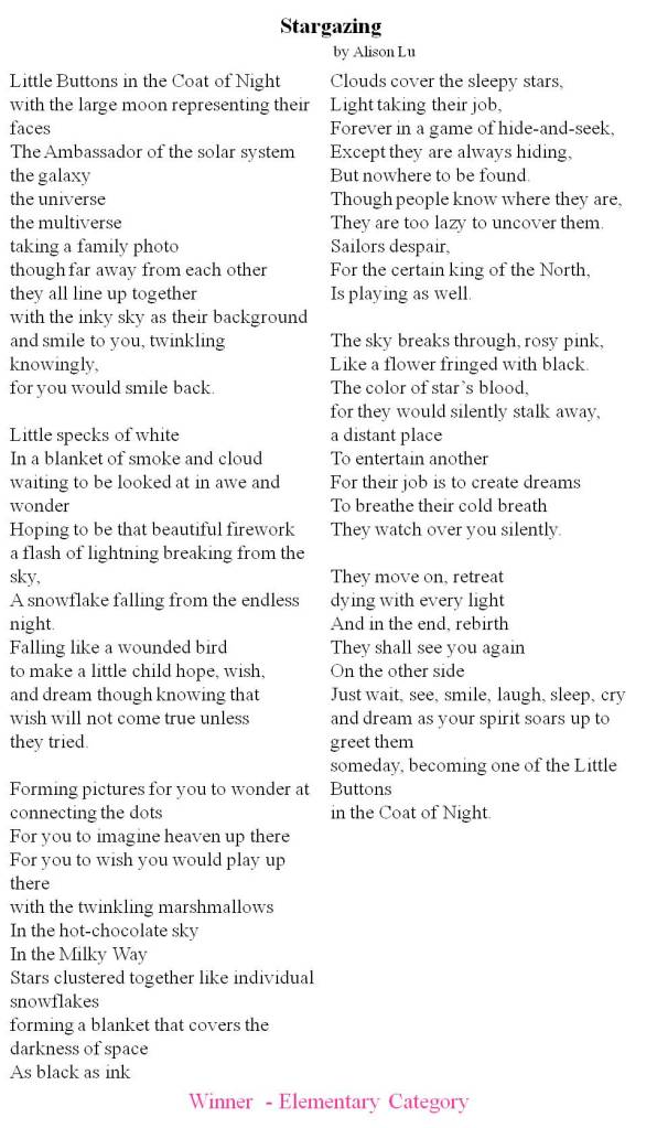 Elementary Category Winner