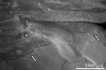 Tsunami-borne sediments on Mars