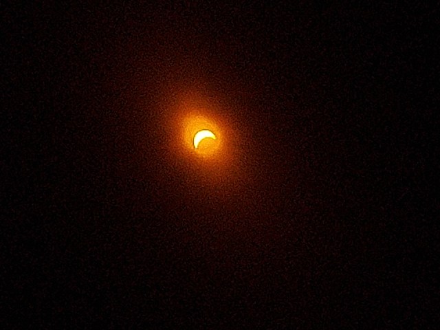 Chasing Shadows: Witnessing the Total Solar Eclipse from Pine Tree ...